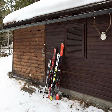 Chalet Directly In The Turracher H He Ski Area Turracher Hoehe Bagian luar foto
